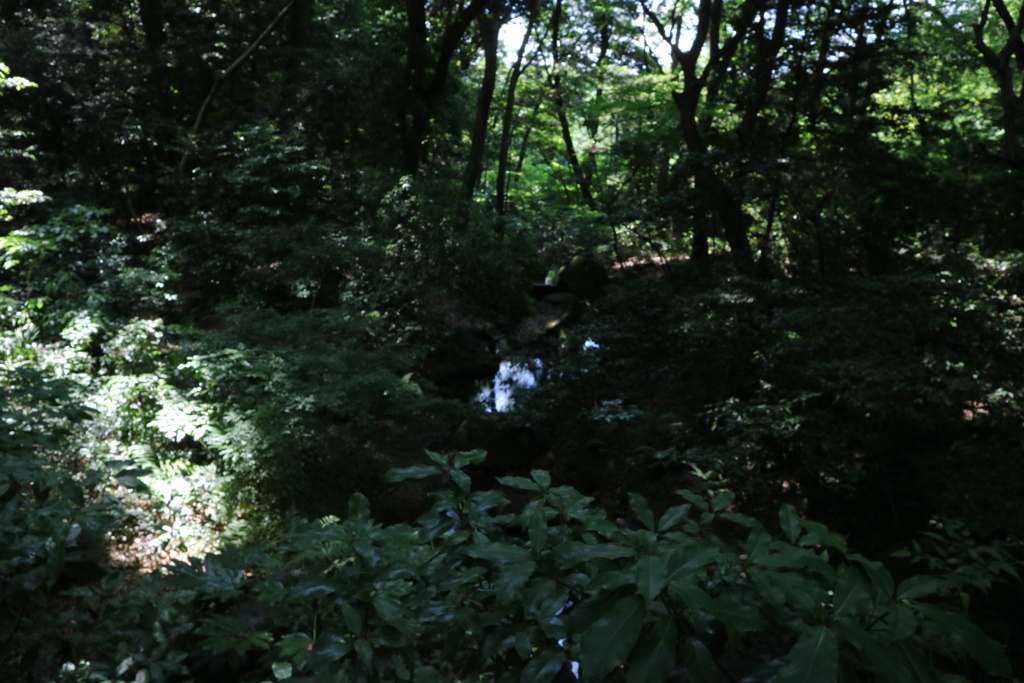 夏の風景＠高田大介
