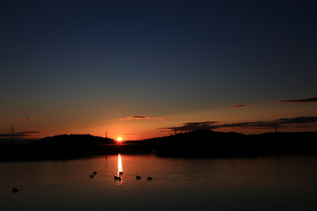 鳥たちの夜明け