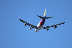 成田空港②