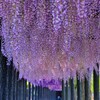 藤のれん