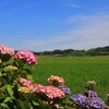 田園風景