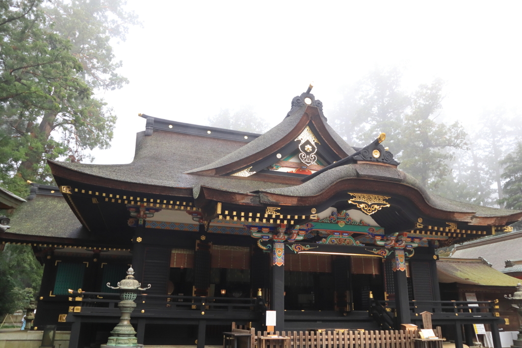 早朝の霧降る杜（香取神宮）