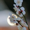 ほっとスポット