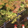 日向ぼこ