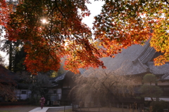 晩秋の風景②