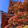 平和大塔と紅葉(成田山新勝寺)