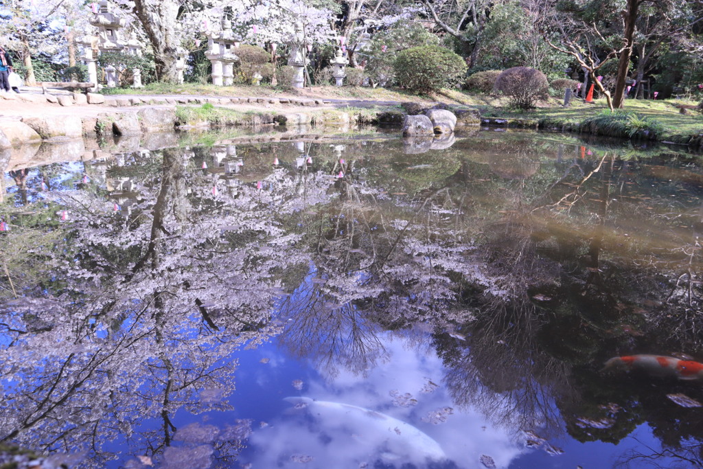 水鏡③
