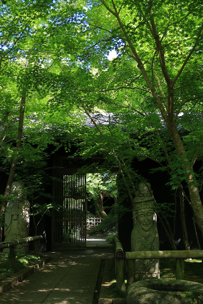 夏の入口