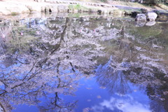 水鏡①