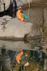 ドヤ顔