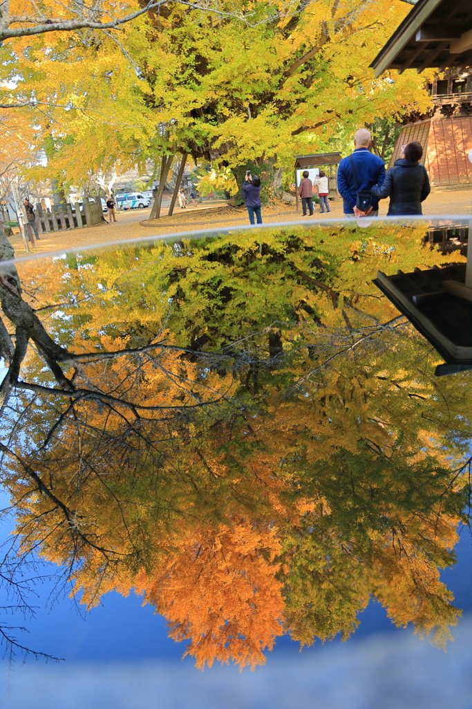 西蓮寺　水鏡