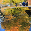 西蓮寺　水鏡