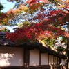 長勝寺の紅葉③