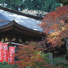 秋の名残③