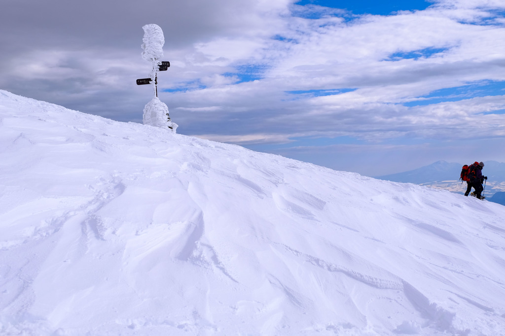 雪の道標