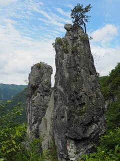 寄添