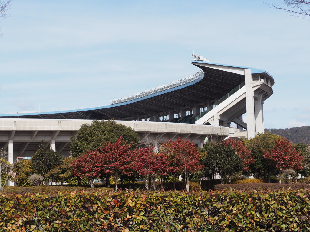 晩冬