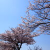 見上