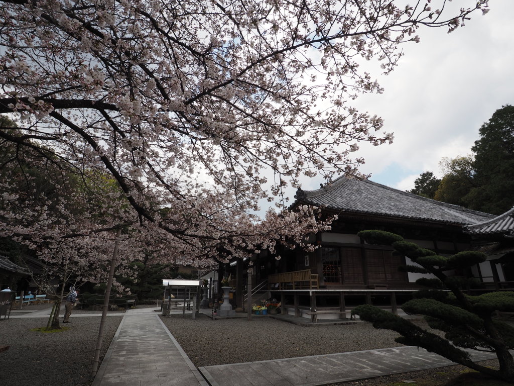 お遍路67番大興寺