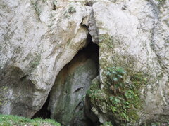 探索