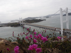 春霞