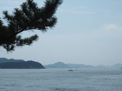 夏海