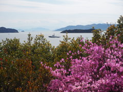 春海
