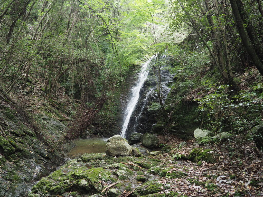 黄谷
