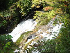大滝
