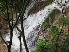 塩掛