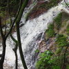 塩掛