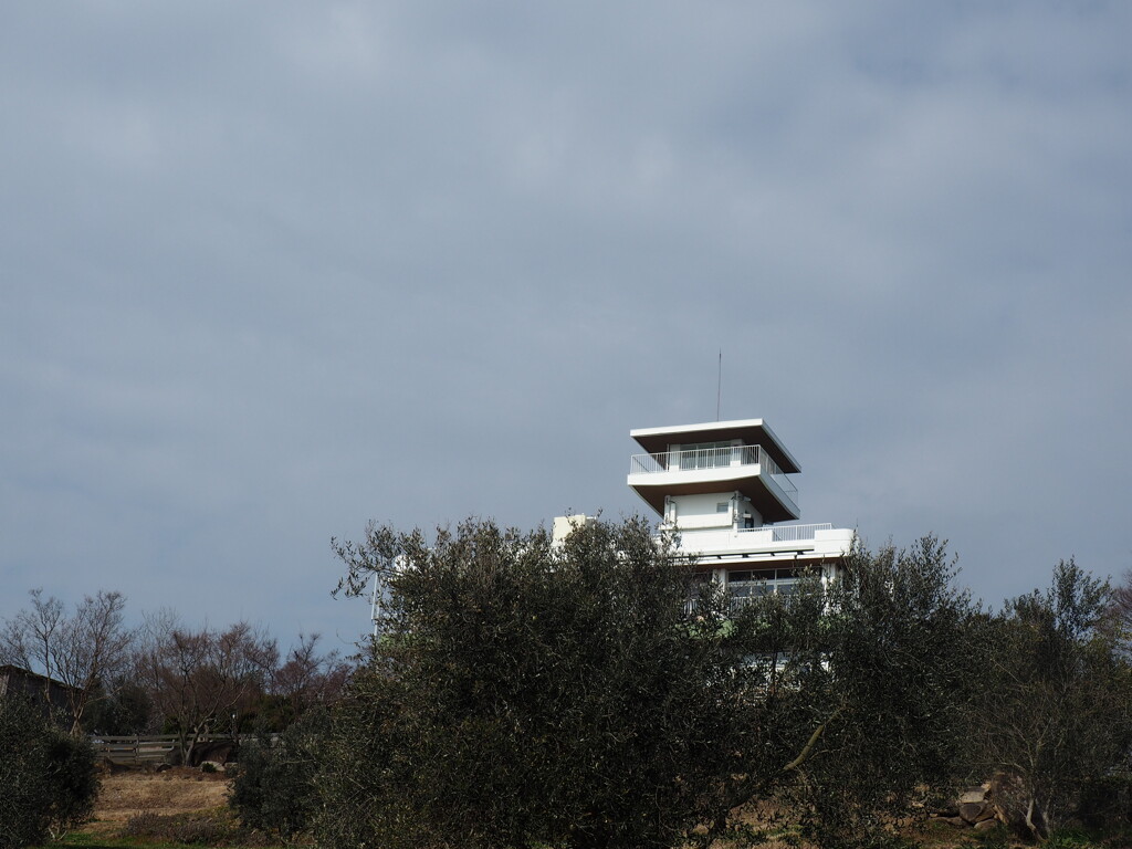 展望