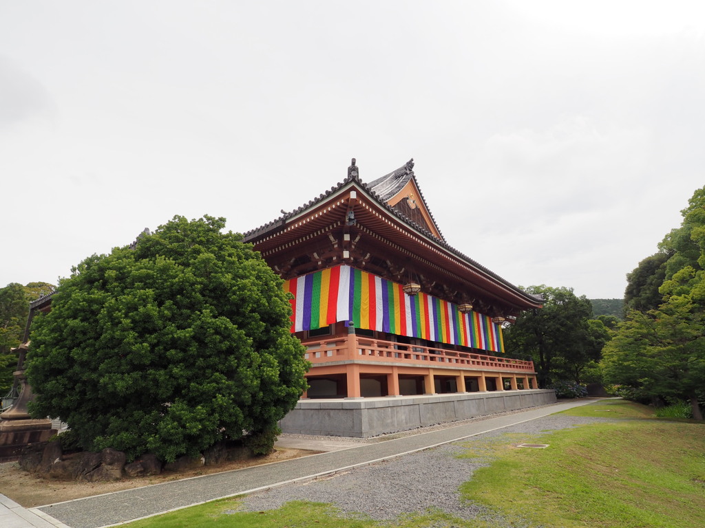 智積院