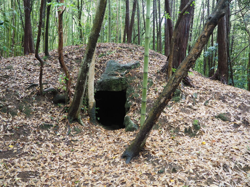 静林