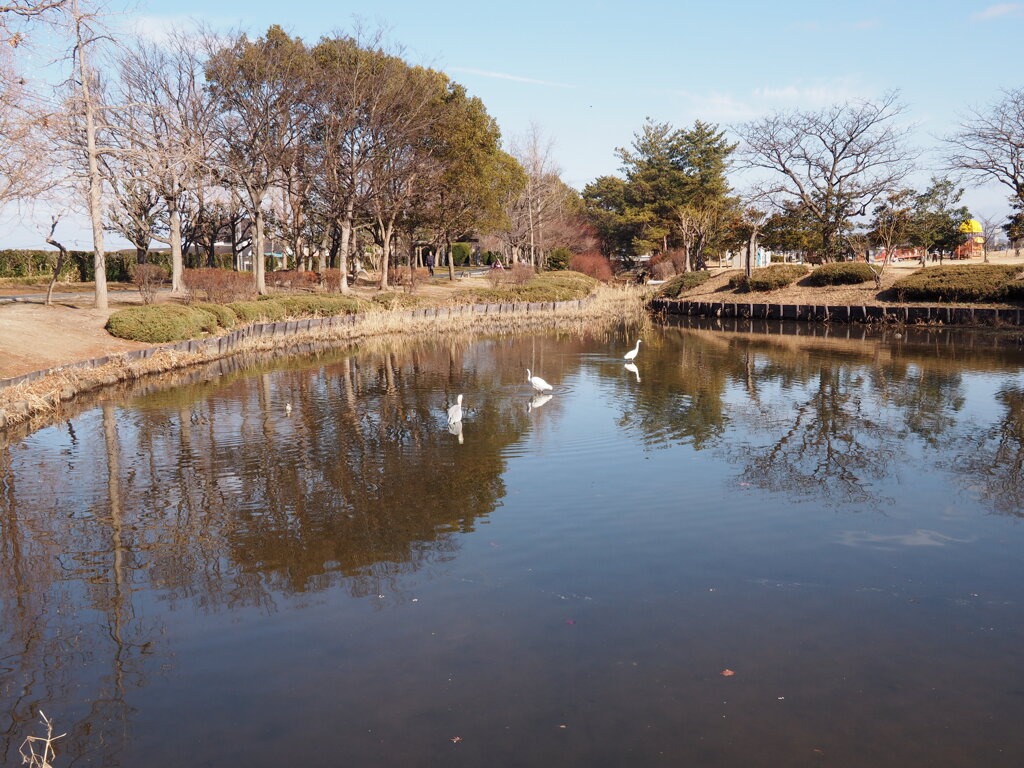 池姿