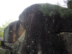 裏山