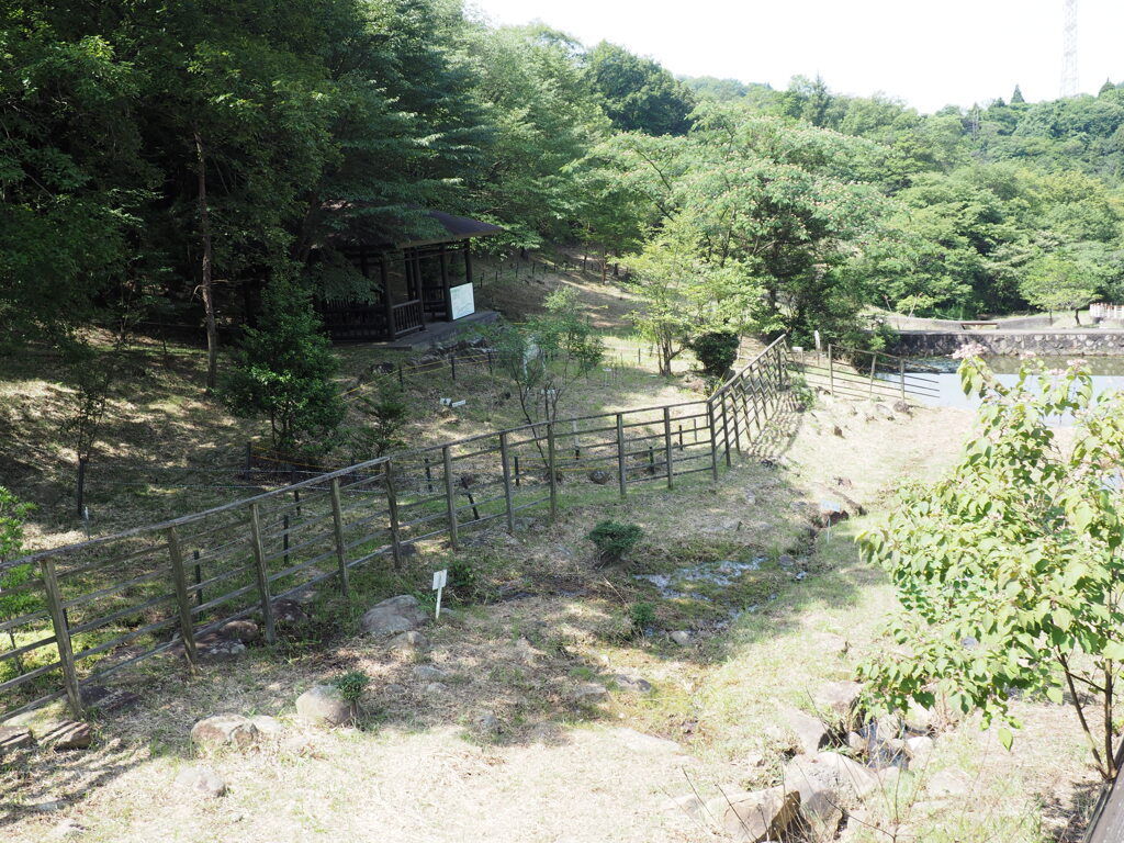 湿地
