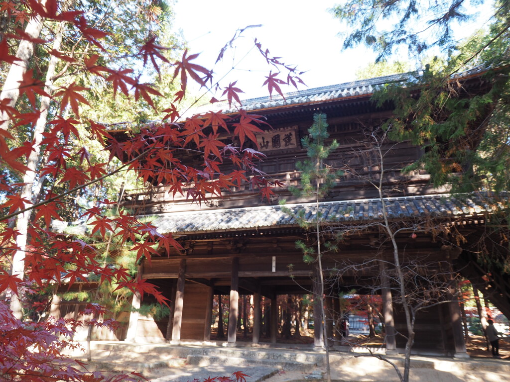 秋終