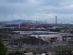 回復
