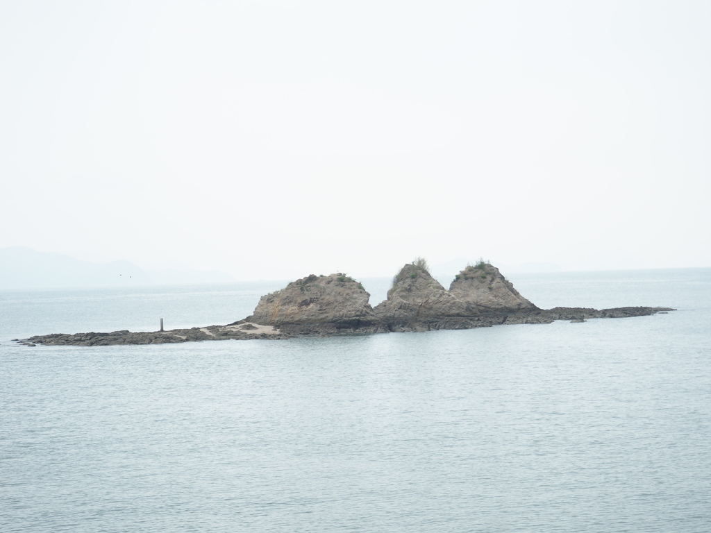 島彩