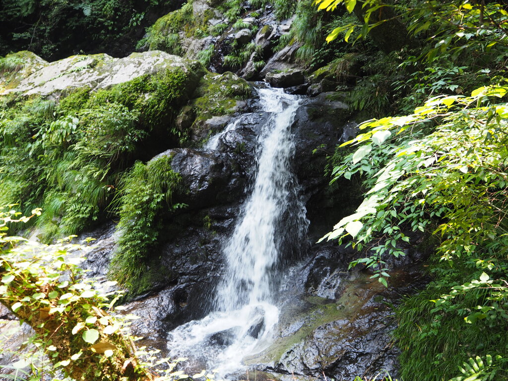 龍頭が滝