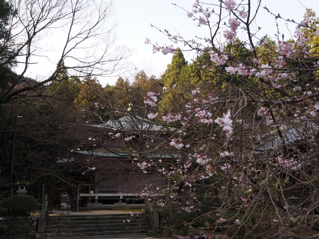 逆打