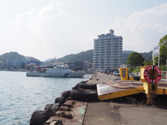 巡視
