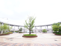 円形