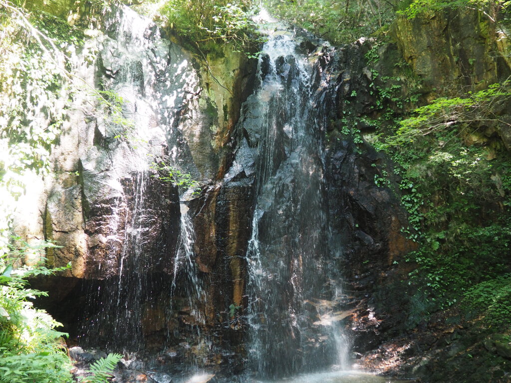 夫婦