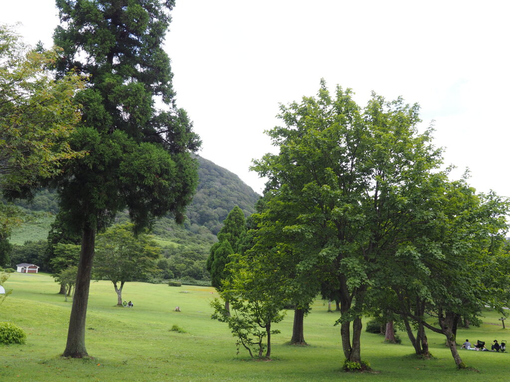 鏡成