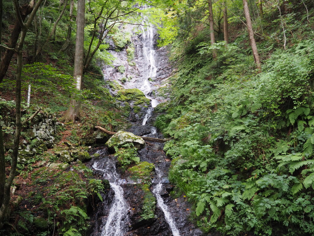 中林