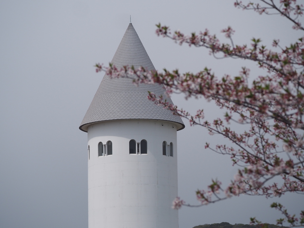 終桜