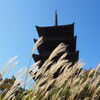 秋風