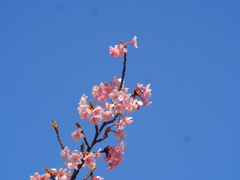 天届